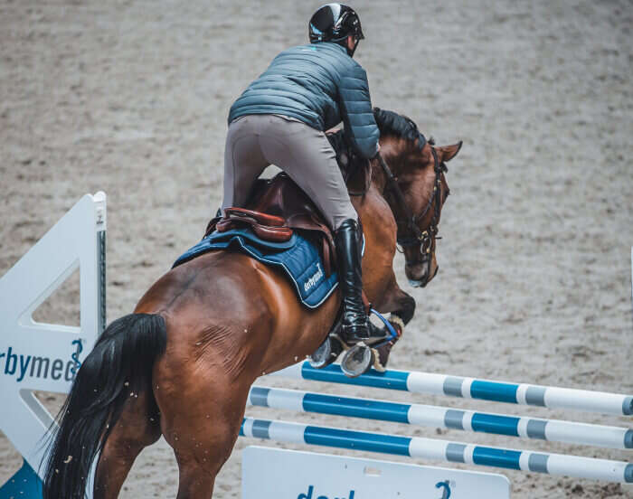 admr doping einstiegsbilder pferd reiter derbymed (1)